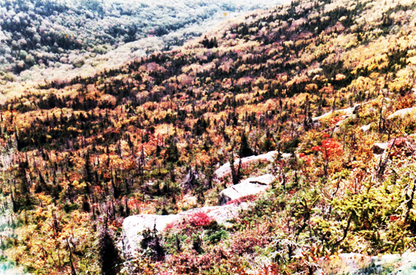 view from Cannon Mountain Aerial Tramway